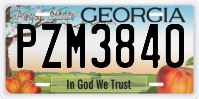 GA license plate PZM3840