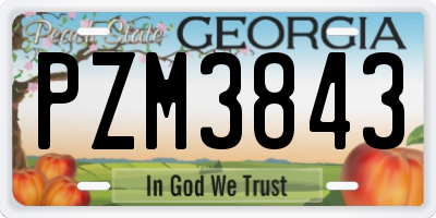 GA license plate PZM3843