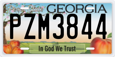 GA license plate PZM3844