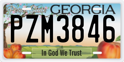 GA license plate PZM3846
