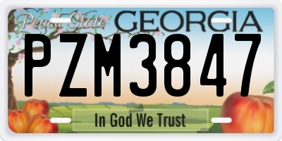 GA license plate PZM3847