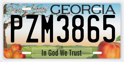 GA license plate PZM3865