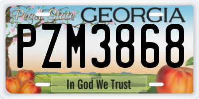 GA license plate PZM3868