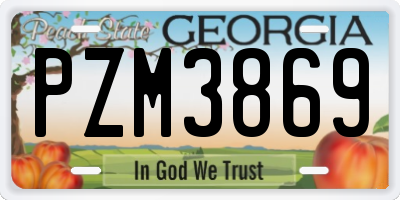 GA license plate PZM3869
