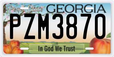 GA license plate PZM3870