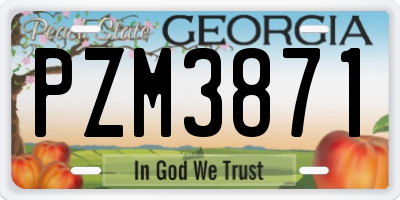 GA license plate PZM3871