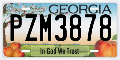 GA license plate PZM3878