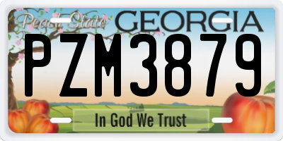 GA license plate PZM3879