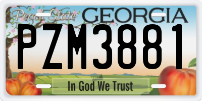 GA license plate PZM3881
