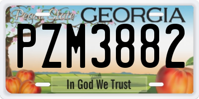 GA license plate PZM3882