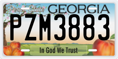 GA license plate PZM3883