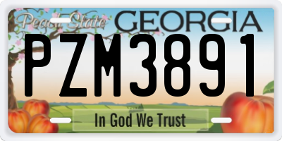 GA license plate PZM3891