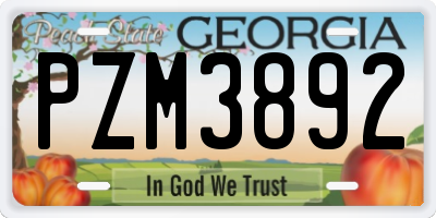 GA license plate PZM3892