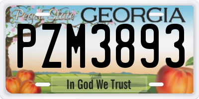 GA license plate PZM3893