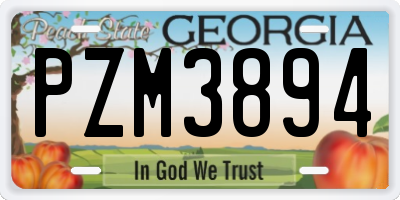 GA license plate PZM3894