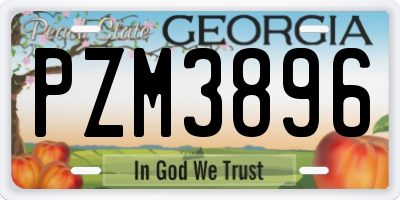 GA license plate PZM3896