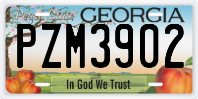 GA license plate PZM3902