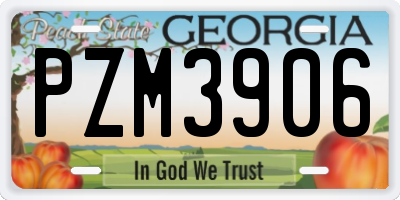 GA license plate PZM3906