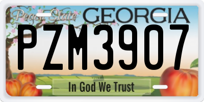 GA license plate PZM3907