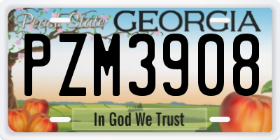 GA license plate PZM3908