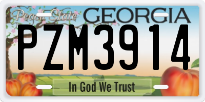 GA license plate PZM3914