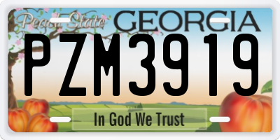 GA license plate PZM3919