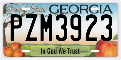 GA license plate PZM3923