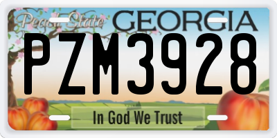 GA license plate PZM3928