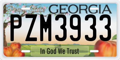 GA license plate PZM3933