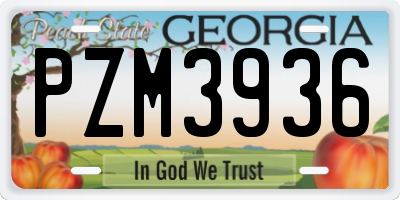 GA license plate PZM3936