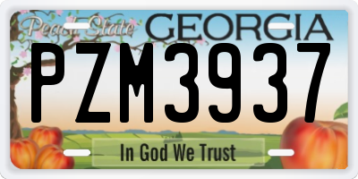GA license plate PZM3937