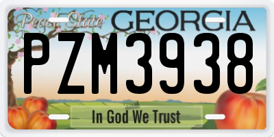 GA license plate PZM3938