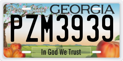 GA license plate PZM3939