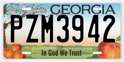 GA license plate PZM3942