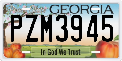 GA license plate PZM3945