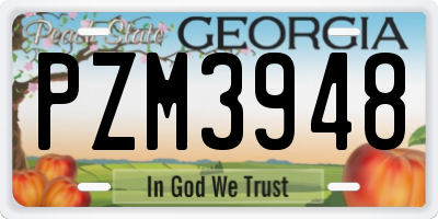 GA license plate PZM3948