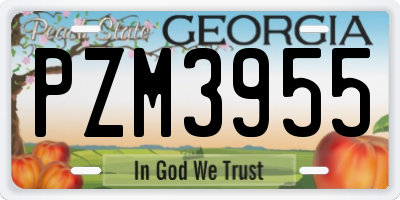 GA license plate PZM3955
