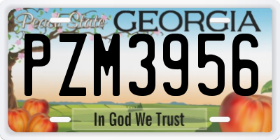 GA license plate PZM3956
