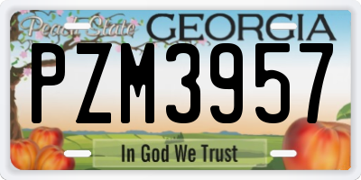 GA license plate PZM3957
