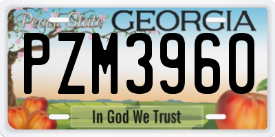GA license plate PZM3960