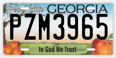 GA license plate PZM3965