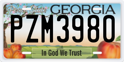 GA license plate PZM3980