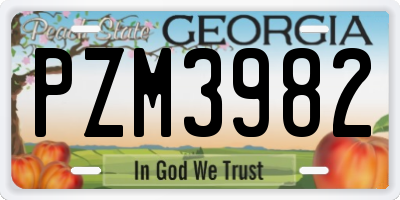 GA license plate PZM3982