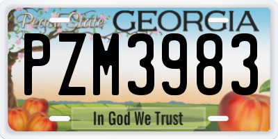 GA license plate PZM3983