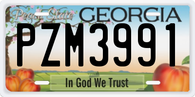 GA license plate PZM3991