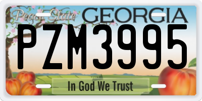 GA license plate PZM3995