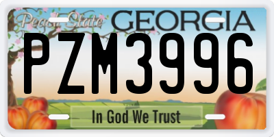 GA license plate PZM3996