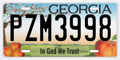 GA license plate PZM3998