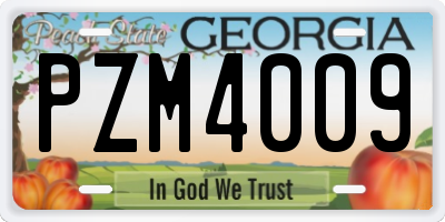 GA license plate PZM4009