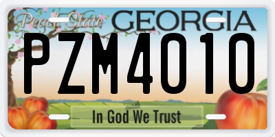 GA license plate PZM4010